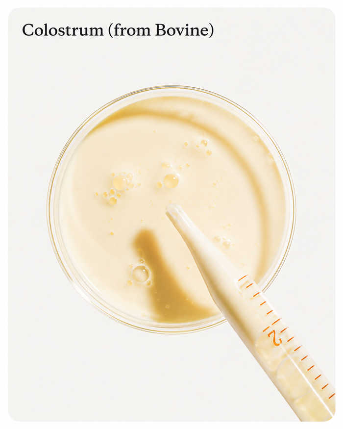 Colostrum