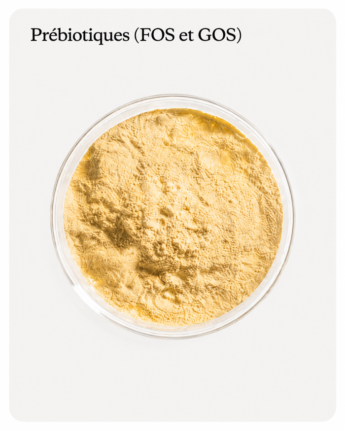 Prébiotique